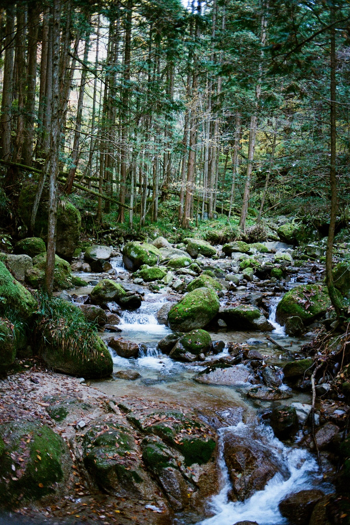 Nakasendo Trail
