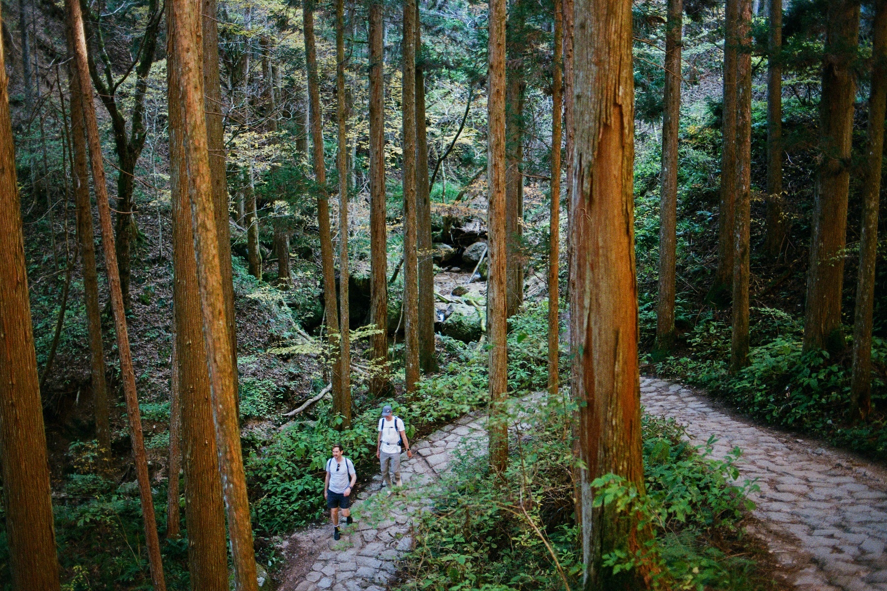 Nakasendo Trail