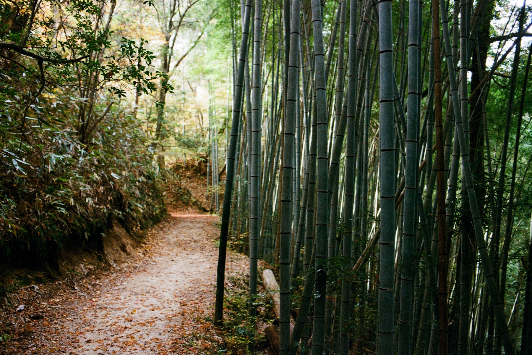 Nakasendo Trail