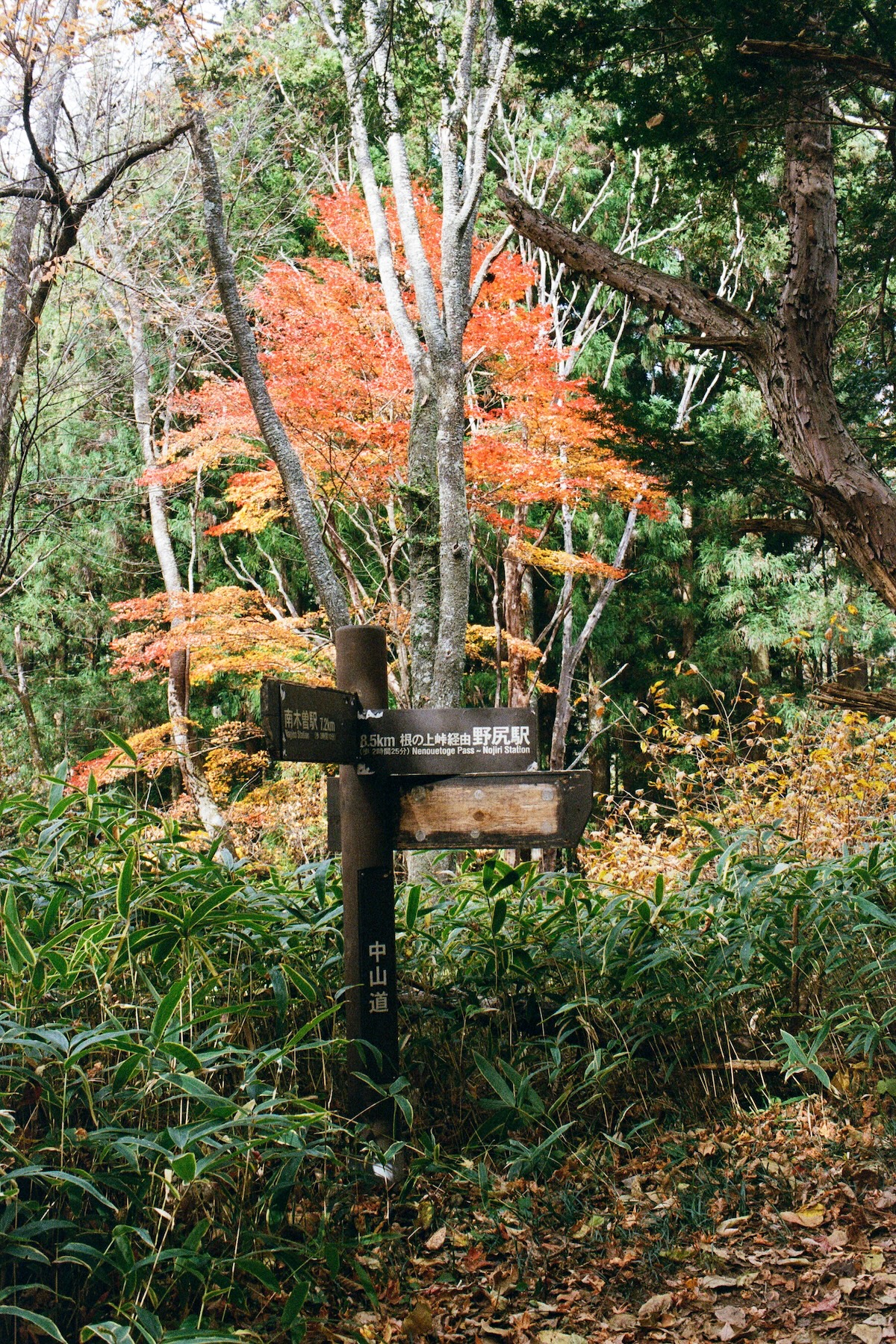 Nakasendo Trail