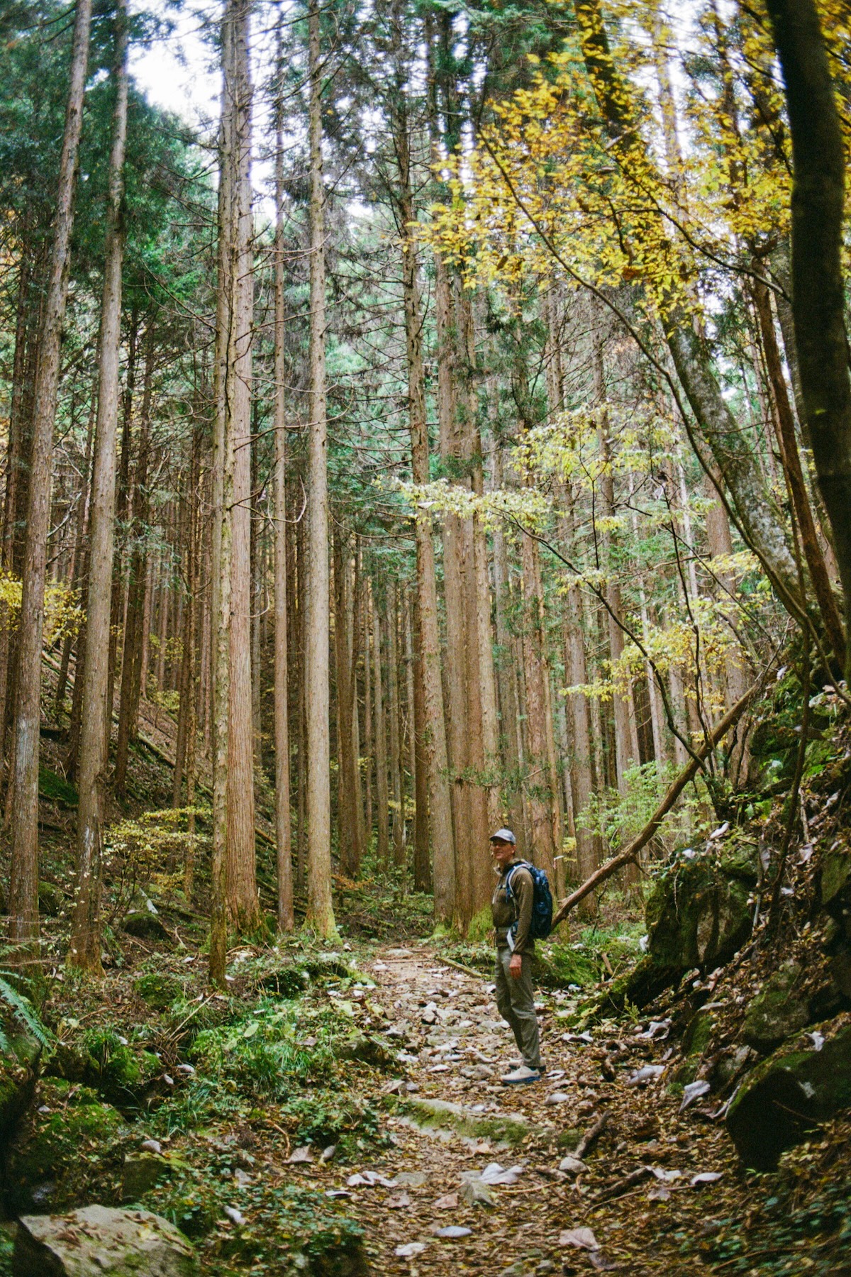 Nakasendo Trail
