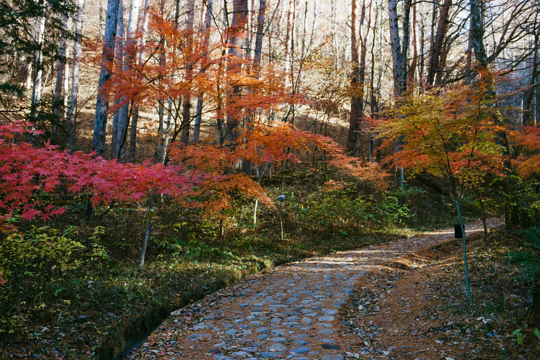 Nakasendo Trail