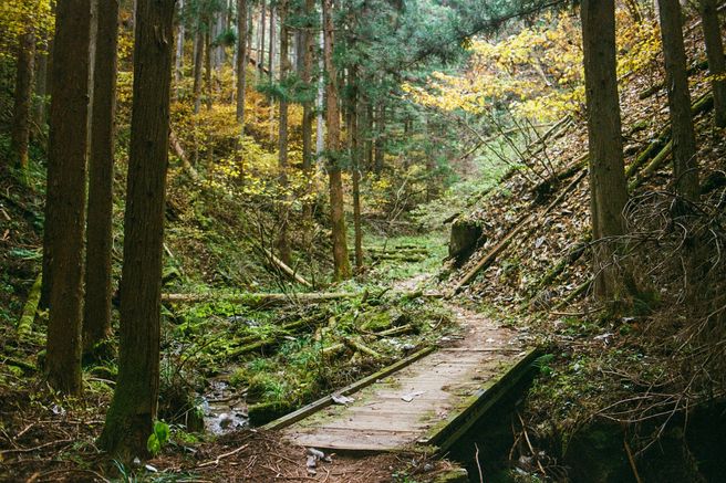 Nakasendo Trail