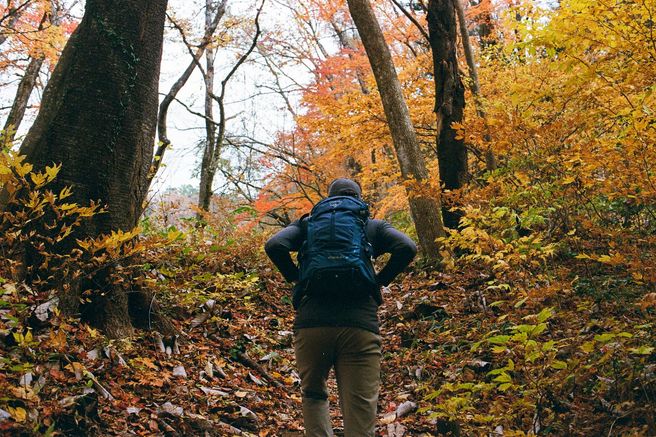 Nakasendo Trail