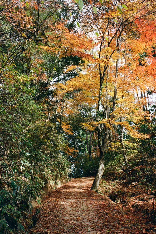 Nakasendo Trail