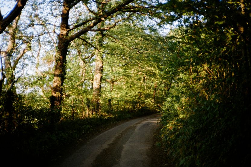 Devon
