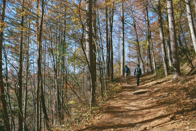 Nakasendo Trail